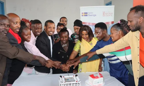 business development services certification by danish refugee council sweden sverige, certified BDS trainers